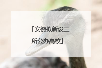 安徽拟新设三所公办高校
