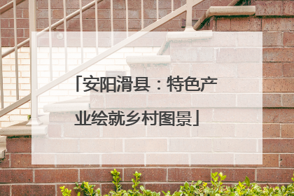 安阳滑县：特色产业绘就乡村图景