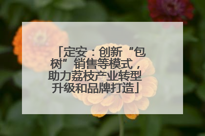 定安：创新“包树”销售等模式，助力荔枝产业转型升级和品牌打造
