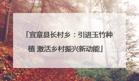 宜章县长村乡：引进玉竹种植 激活乡村振兴新动能