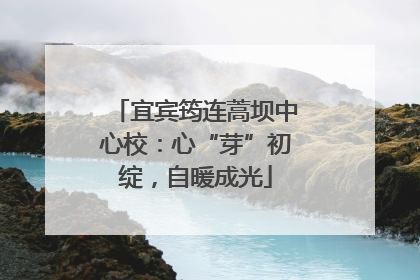 宜宾筠连蒿坝中心校：心“芽”初绽，自暖成光