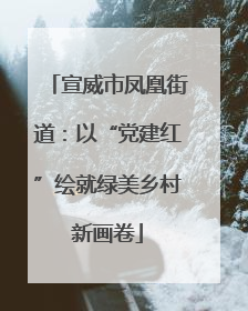 宣威市凤凰街道：以“党建红”绘就绿美乡村新画卷