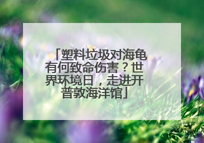 塑料垃圾对海龟有何致命伤害？世界环境日，走进开普敦海洋馆