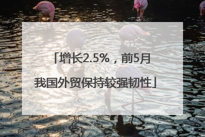 增长2.5%，前5月我国外贸保持较强韧性
