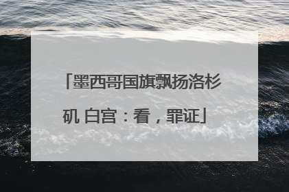 墨西哥国旗飘扬洛杉矶 白宫：看，罪证