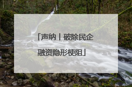 声纳丨破除民企融资隐形梗阻
