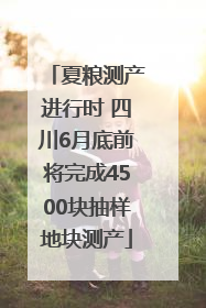 夏粮测产进行时 四川6月底前将完成4500块抽样地块测产