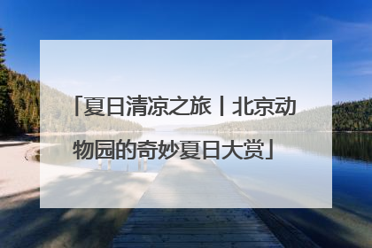 夏日清凉之旅丨北京动物园的奇妙夏日大赏