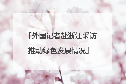 外国记者赴浙江采访推动绿色发展情况