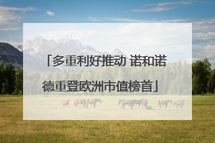 多重利好推动 诺和诺德重登欧洲市值榜首