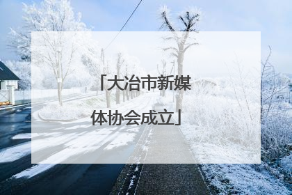 大冶市新媒体协会成立