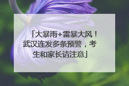 大暴雨+雷暴大风！武汉连发多条预警，考生和家长请注意