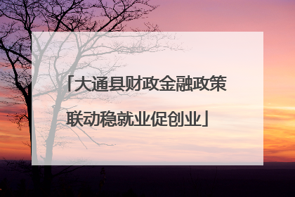 大通县财政金融政策联动稳就业促创业