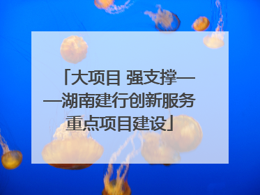 大项目 强支撑——湖南建行创新服务重点项目建设