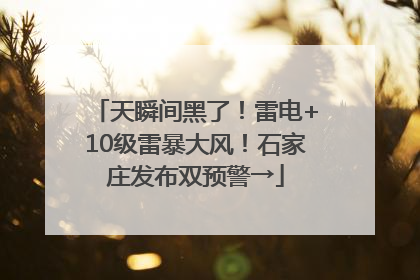 天瞬间黑了！雷电+10级雷暴大风！石家庄发布双预警→