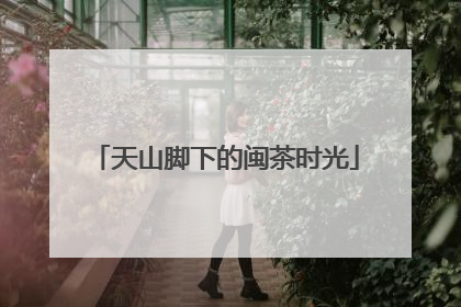 天山脚下的闽茶时光