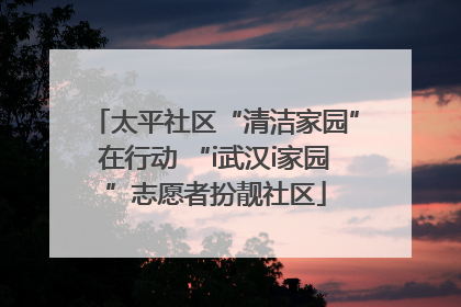 太平社区“清洁家园”在行动 “i武汉i家园”志愿者扮靓社区