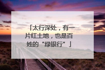 太行深处，有一片红土地，也是百姓的“绿银行”