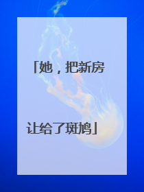 她，把新房让给了斑鸠