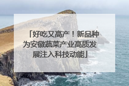 好吃又高产！新品种为安徽蔬菜产业高质发展注入科技动能