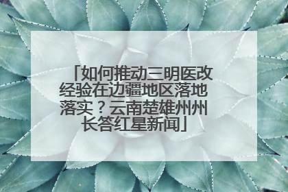 如何推动三明医改经验在边疆地区落地落实？云南楚雄州州长答红星新闻
