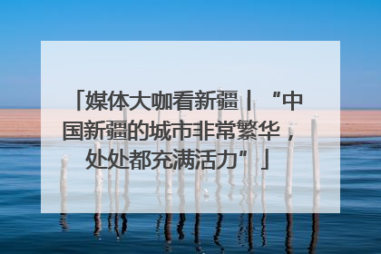媒体大咖看新疆丨“中国新疆的城市非常繁华，处处都充满活力”