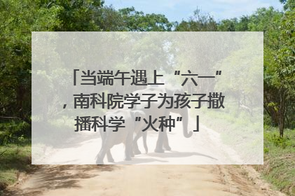 当端午遇上“六一”，南科院学子为孩子撒播科学“火种”