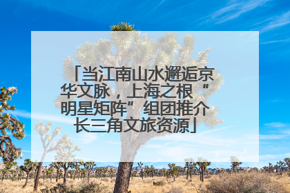 当江南山水邂逅京华文脉，上海之根“明星矩阵”组团推介长三角文旅资源