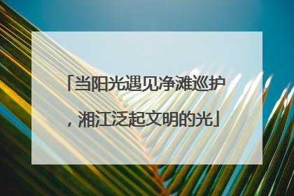 当阳光遇见净滩巡护，湘江泛起文明的光