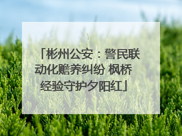 彬州公安：警民联动化赡养纠纷 枫桥经验守护夕阳红