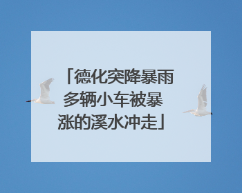 德化突降暴雨 多辆小车被暴涨的溪水冲走