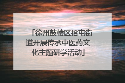 徐州鼓楼区拾屯街道开展传承中医药文化主题研学活动