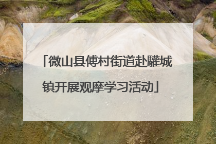 微山县傅村街道赴驩城镇开展观摩学习活动
