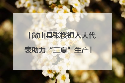 微山县张楼镇人大代表助力“三夏”生产