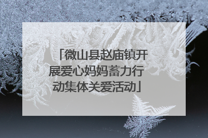 微山县赵庙镇开展爱心妈妈蓄力行动集体关爱活动