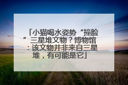 小猫喝水姿势“撞脸”三星堆文物？博物馆：该文物并非来自三星堆，有可能是它