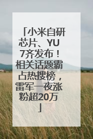 小米自研芯片、YU7齐发布！相关话题霸占热搜榜，雷军一夜涨粉超20万