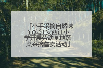 小手采摘自然味 宜宾江安西江小学开展劳动基地蔬菜采摘售卖活动
