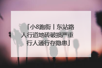 小8跑街丨东站路人行道地砖破损严重 行人通行存隐患