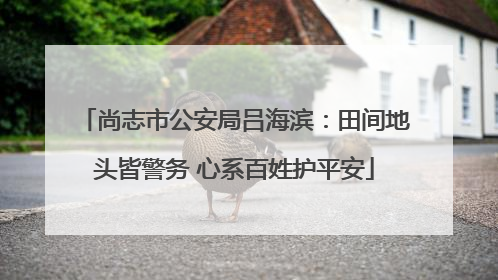 尚志市公安局吕海滨：田间地头皆警务 心系百姓护平安