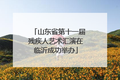 山东省第十一届残疾人艺术汇演在临沂成功举办