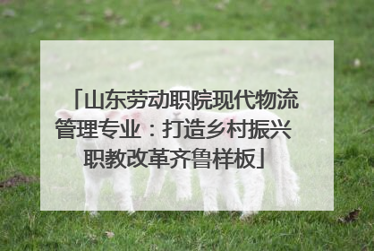 山东劳动职院现代物流管理专业：打造乡村振兴职教改革齐鲁样板