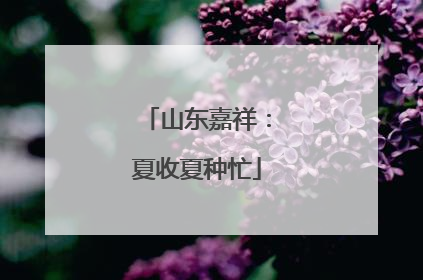 山东嘉祥：夏收夏种忙