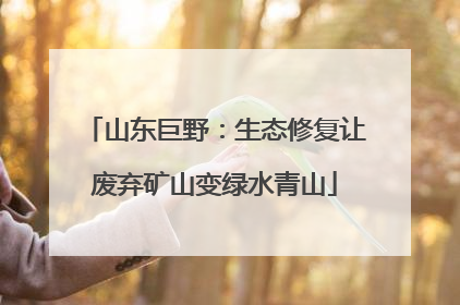 山东巨野：生态修复让废弃矿山变绿水青山
