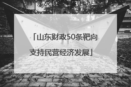 山东财政50条靶向支持民营经济发展
