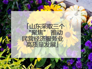 山东采取三个“聚焦” 推动民营经济服务业高质量发展