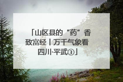 山区县的“药”香致富经丨万千气象看四川·平武③