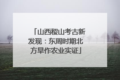 山西稷山考古新发现：东周时期北方旱作农业实证