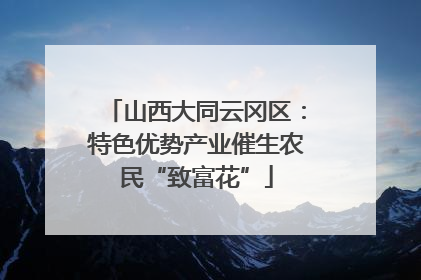山西大同云冈区：特色优势产业催生农民“致富花”