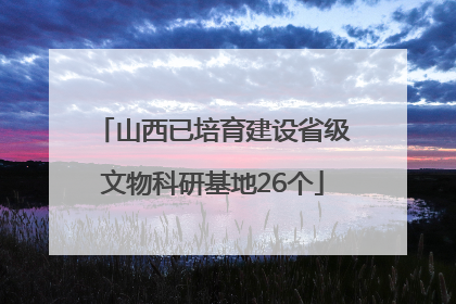山西已培育建设省级文物科研基地26个